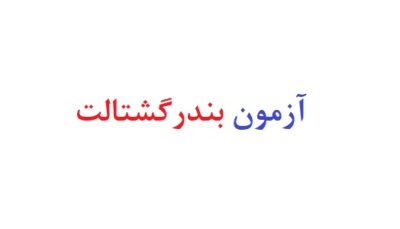 آزمون بندر گشتالت