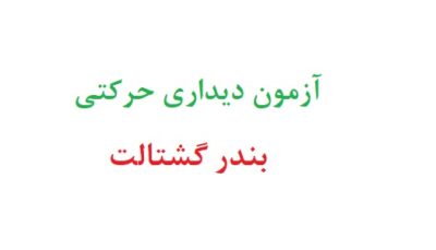 آزمون دیداری حرکتی بندر گشتالت