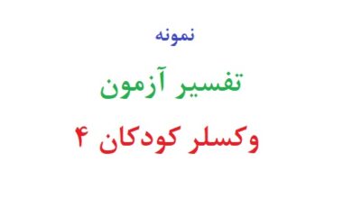 تفسیر آزمون وکسلر کودکان 4