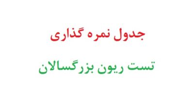 جدول نمره گذاری تست ریون بزرگسالان