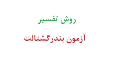 روش تفسیر آزمون بندر گشتالت
