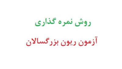 روش نمره گذاری آزمون ریون بزرگسالان