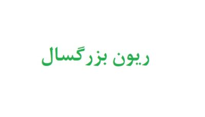 ریون بزرگسال