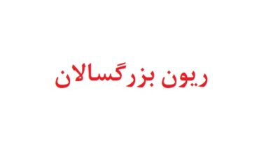 ریون بزرگسالان