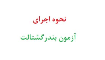نحوه اجرای آزمون بندر گشتالت