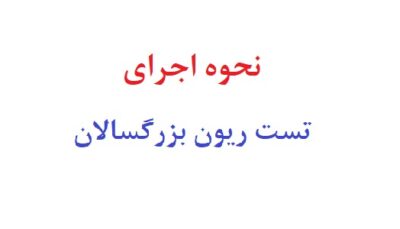 نحوه اجرای تست ریون بزرگسالان