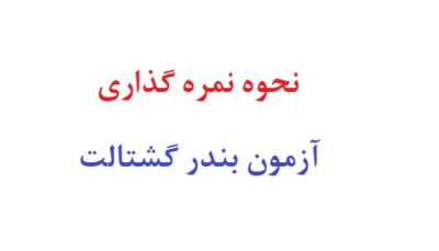 نحوه نمره گذاری آزمون بندر گشتالت