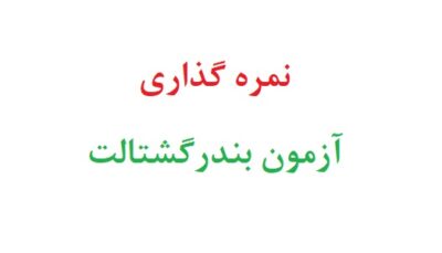 نمره گذاری آزمون بندر گشتالت
