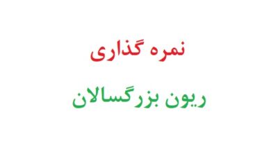 نمره گذاری ریون بزرگسالان