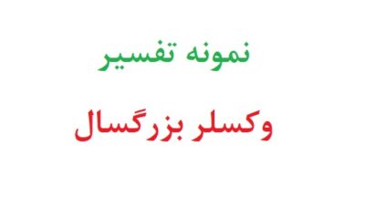 نمونه تفسیر وکسلر بزرگسال