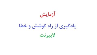 آزمایش یادگیری از راه کوشش و خطا لابیرنت